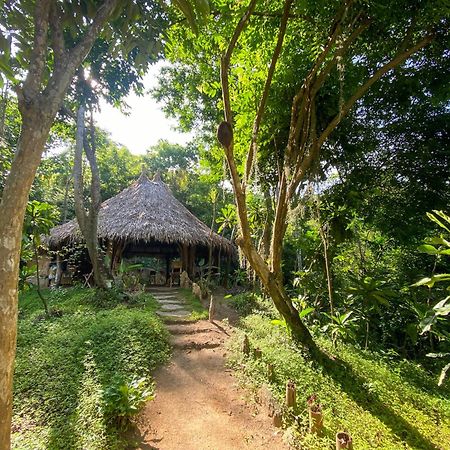 Hostal Paraiso Tayrona Kogui Los Naranjos Kültér fotó